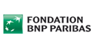 bnp-foundation 2015